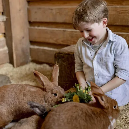 Hardthoehe - Bauern- & Reiterhof Nyaraló *