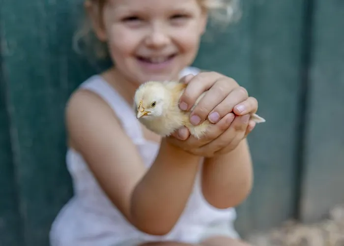 別荘 Hardthoehe - Bauern- & Reiterhof