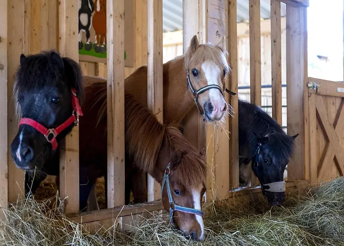 Hardthoehe - Bauern- & Reiterhof *