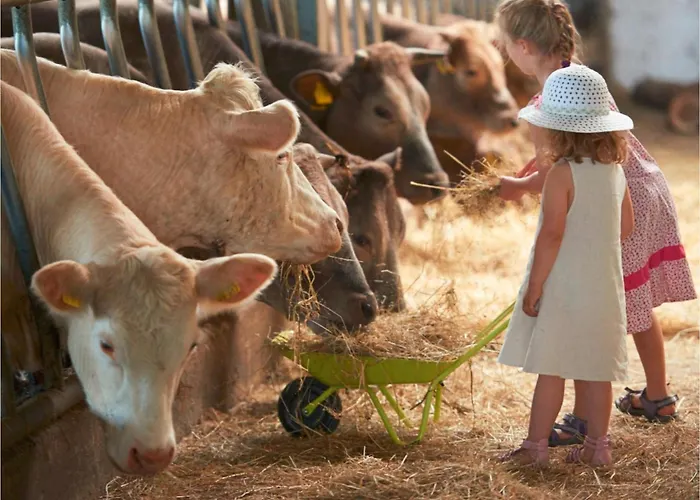 Hardthoehe - Bauern- & Reiterhof