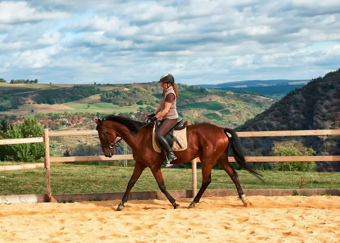 別荘 Hardthoehe - Bauern- & Reiterhof *